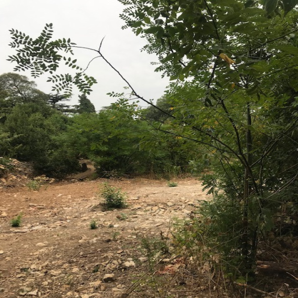 Offres de vente Terrain Nîmes 30000